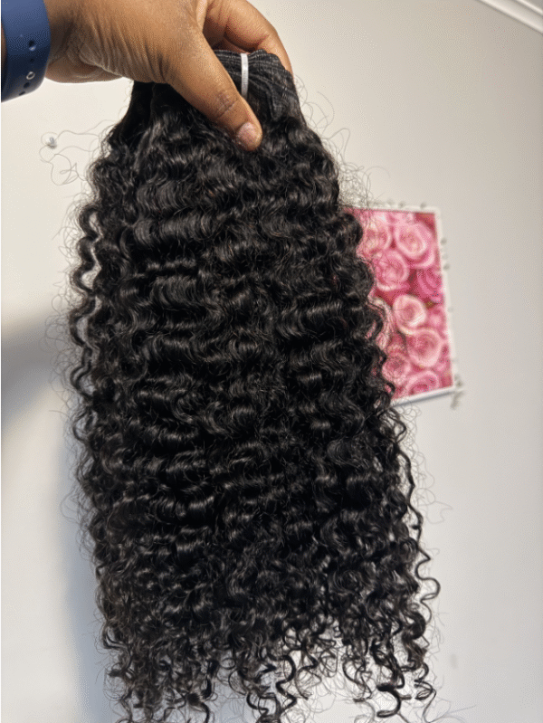 charm burmese 2 Charmylicious Burmese Curls